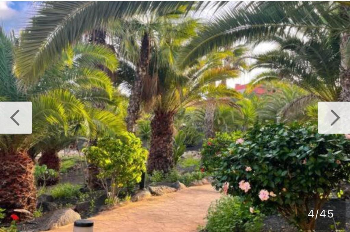 New Tamarindo La Ola Daire Corralejo Dış mekan fotoğraf